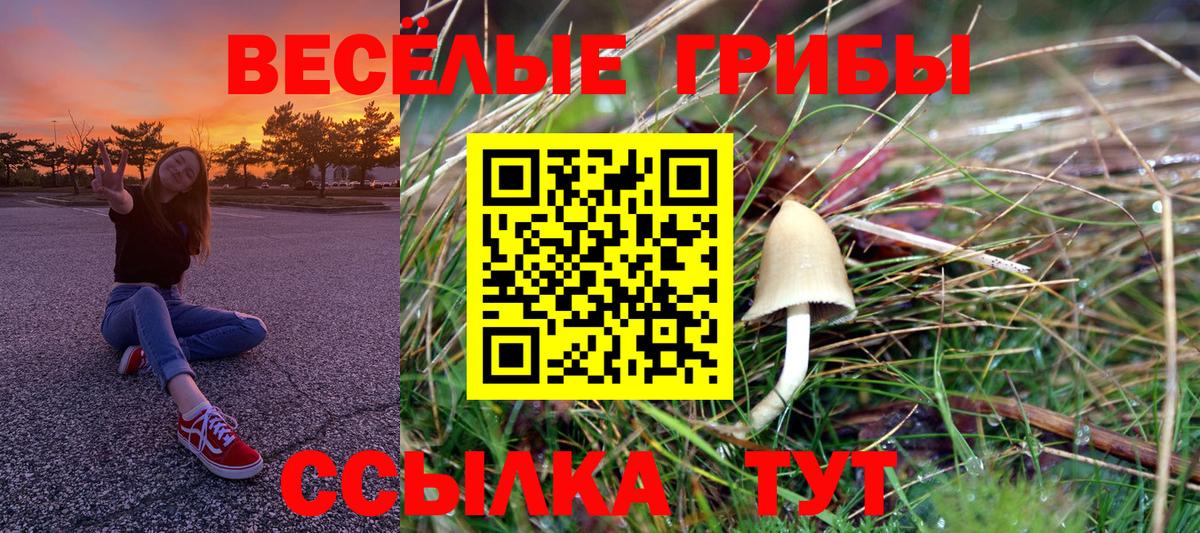Галлюциногенные грибы ЛСД Валуйки
